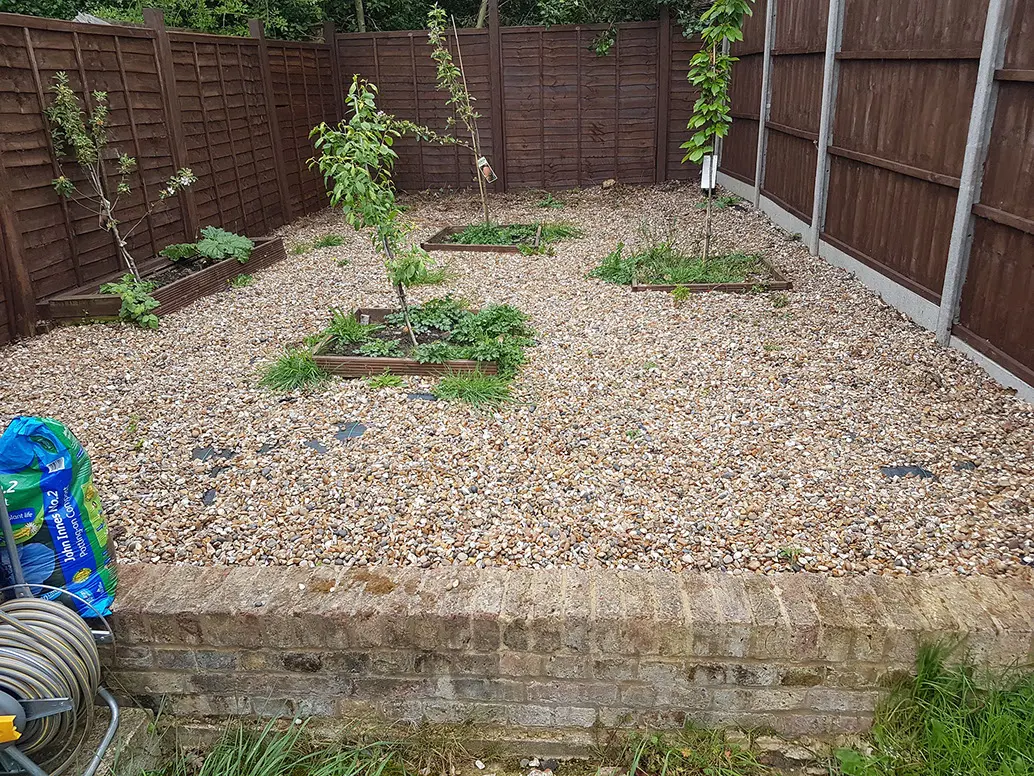 The garden before