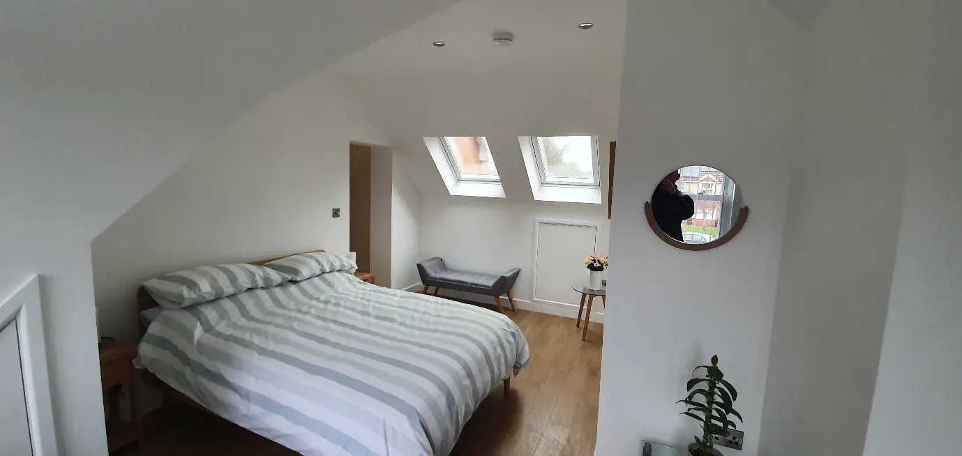 Two Velux windows